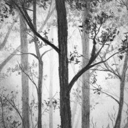 Forest Drawing Fine Art