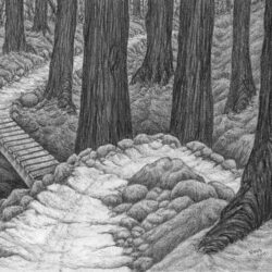 Forest Drawing Hand Drawn Sketch