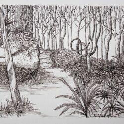 Forest Drawing Image