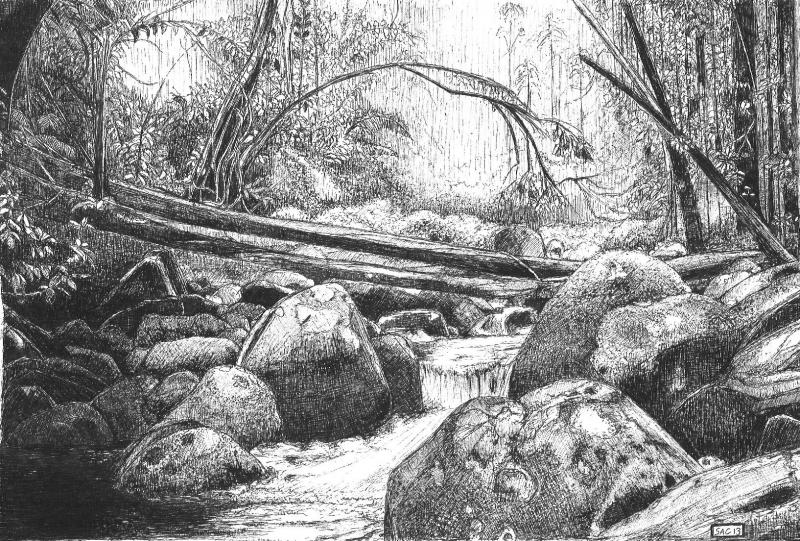 Forest Drawing Realistic Sketch