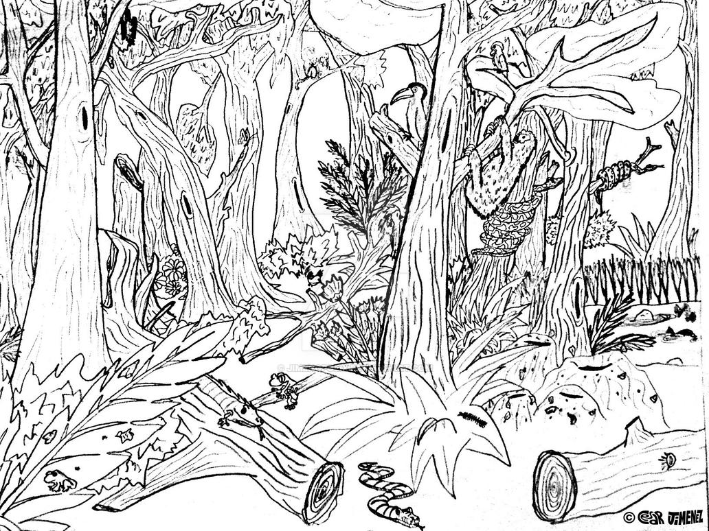 Forest Drawing