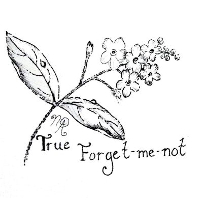 Forget Me Not, Remembrance, Love, Connection, Nostalgia Drawing