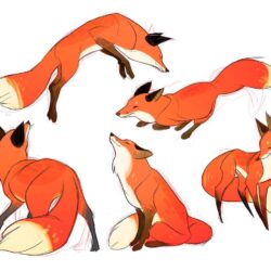 Fox Drawing Art