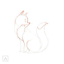 Fox Drawing Artistic Sketching