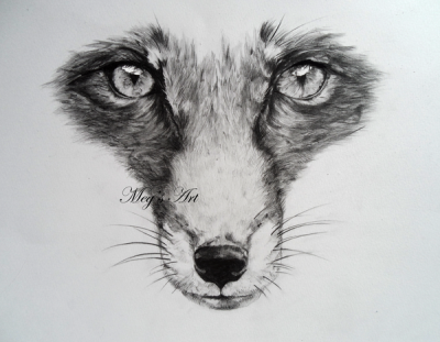 Fox Face, Nature’s Beauty, Playful Spirit, Wild Charm, Cunning Expression Drawing