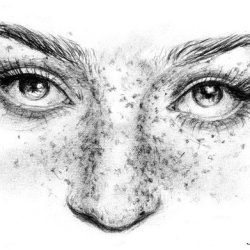 Freckles Drawing Intricate Artwork