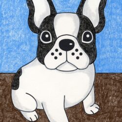 French Bulldog Drawing Art