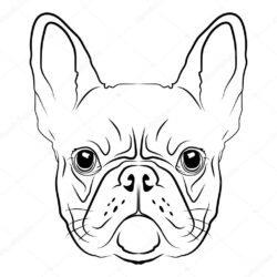 French Bulldog Drawing Fine Art