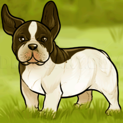 French Bulldog Drawing Modern Sketch