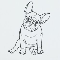 French Bulldog Drawing Sketch