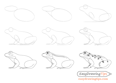 Frog, Croak, Amphibian, Pond, Leap Drawing