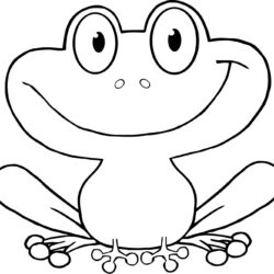 Frog Drawing Art