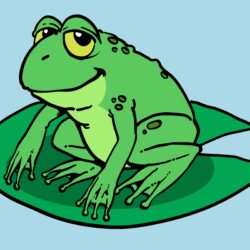 Frog Drawing Picture
