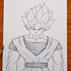 Full Body Goku Drawing