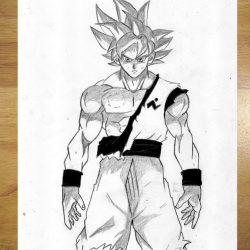 Full Body Goku Drawing Intricate Artwork