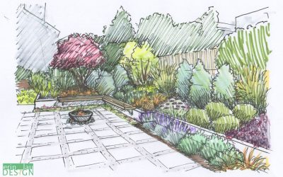 Garden, Beauty, Serenity, Plants, Nature Drawing