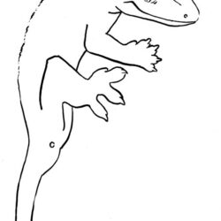 Gecko Drawing Professional Artwork