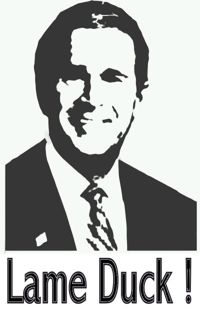 George W Bush, President, Texas, Leadership, Policies Drawing