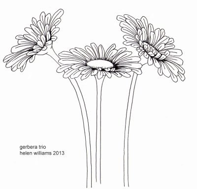 Gerbera, Bloom, Colorful, Flower, Garden Drawing