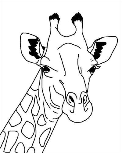 Giraffe, Long Neck, Tall, Herbivore, Africa Drawing