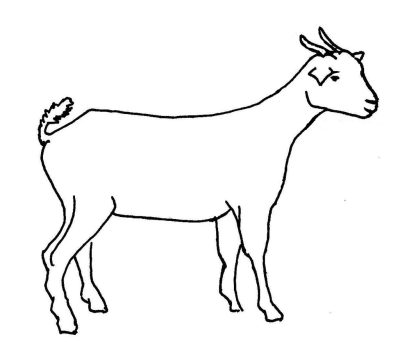 Goat, Greatest, Time, Of, All Drawing