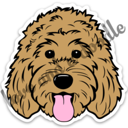 Goldendoodle Drawing Artistic Sketching