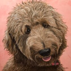 Goldendoodle Drawing Sketch