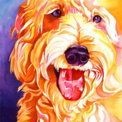 Goldendoodle Drawing Stunning Sketch