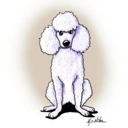 Goldendoodle Drawing Unique Art