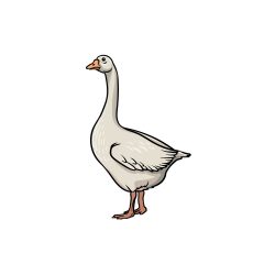 Goose Drawing