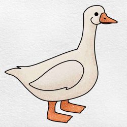 Goose Drawing Amazing Sketch