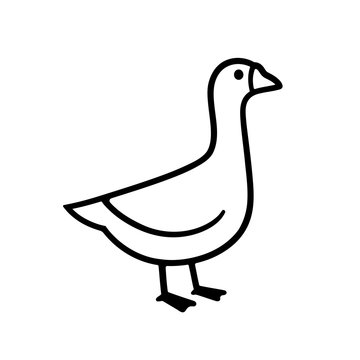 Goose Drawing Artistic Sketching