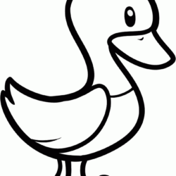 Goose Drawing Fine Art