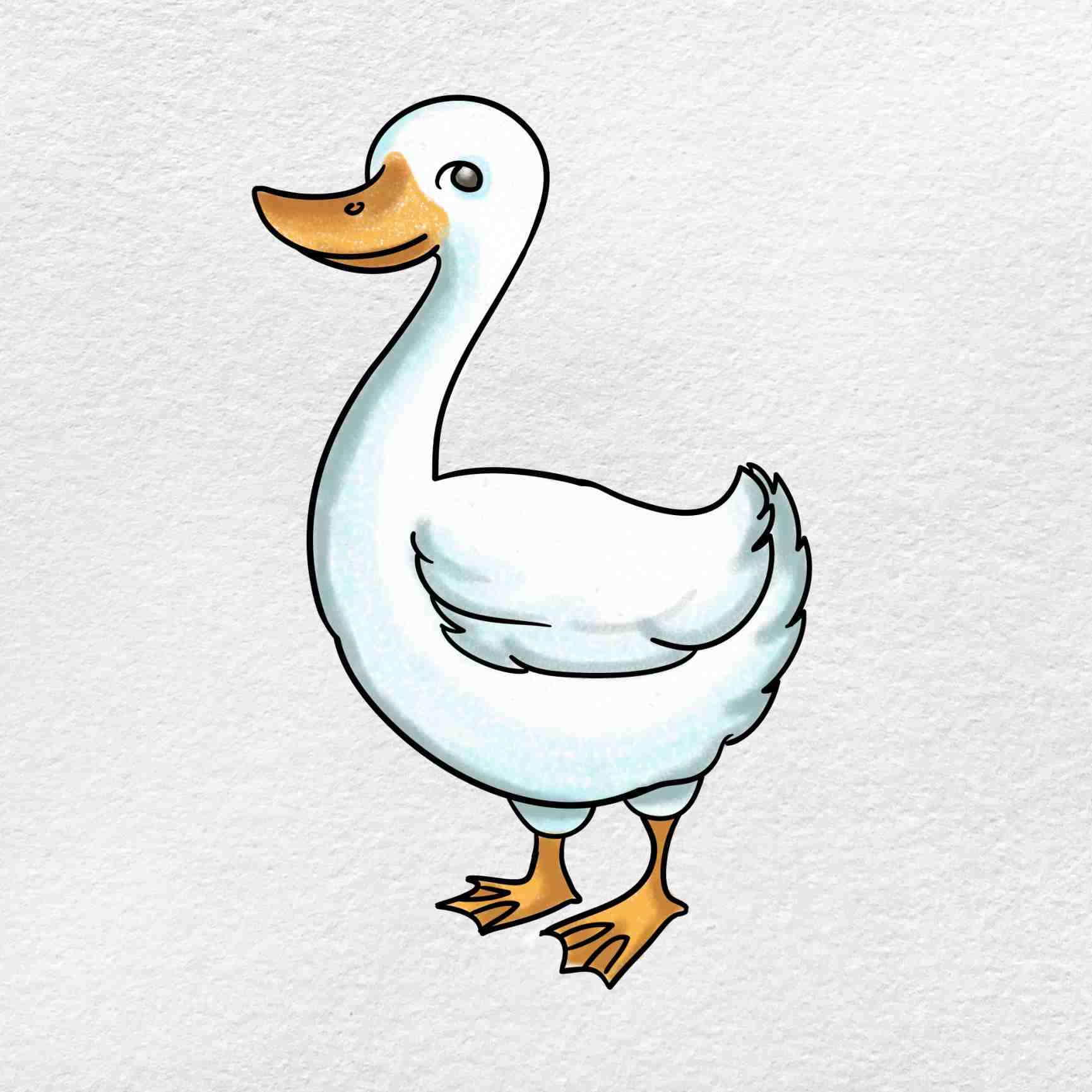 Goose Drawing Hand drawn
