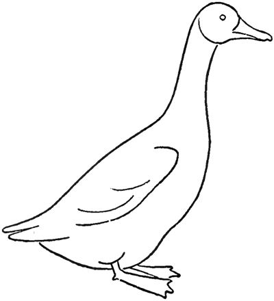 Goose Drawing Modern Sketch