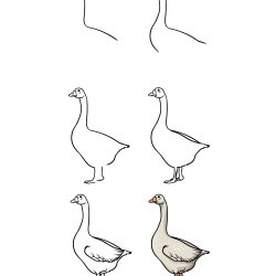 Goose Drawing Sketch