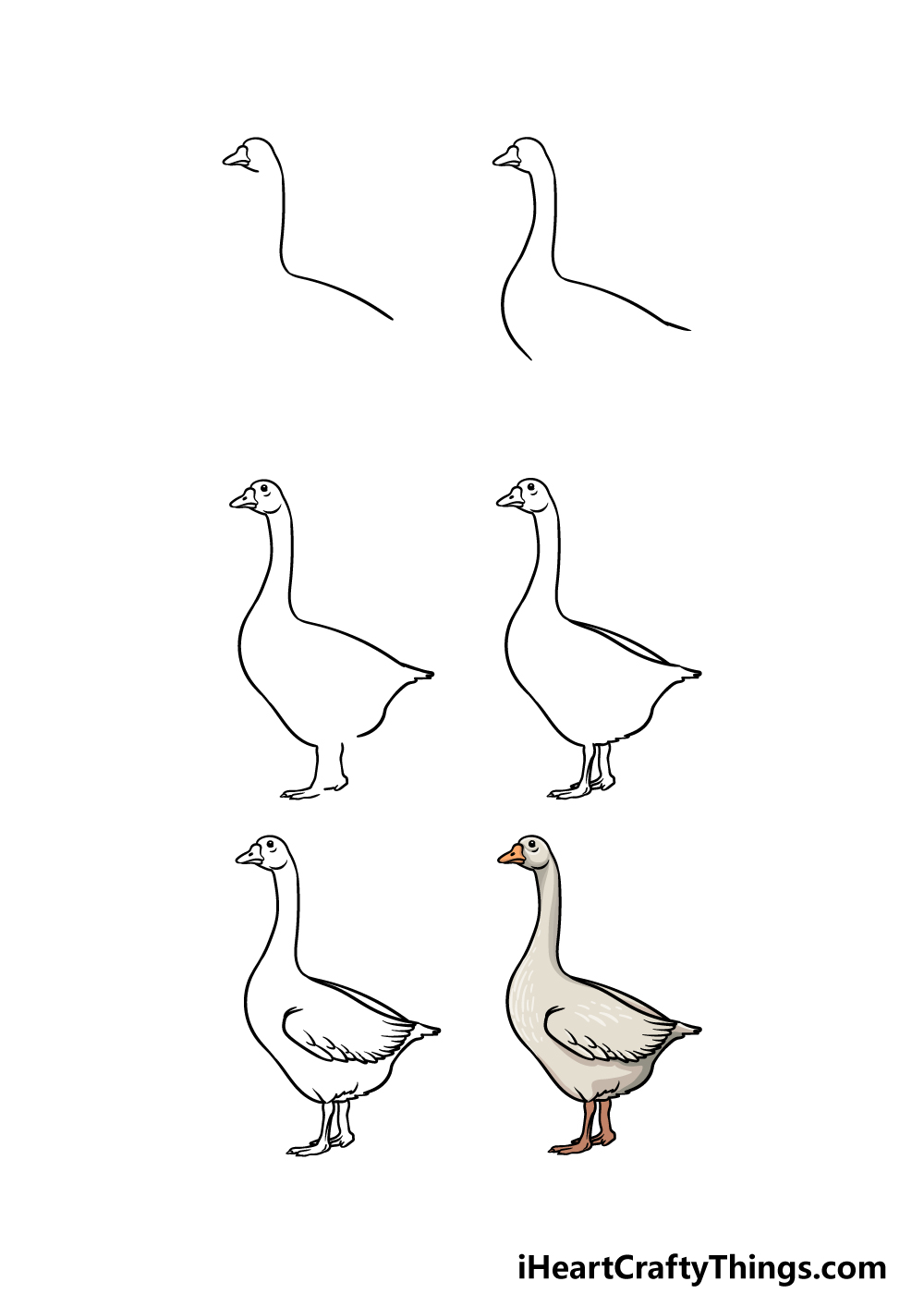 Goose Drawing Sketch