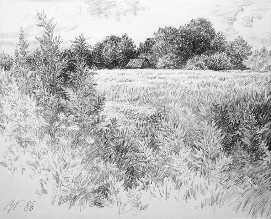 Grass Drawing Amazing Sketch