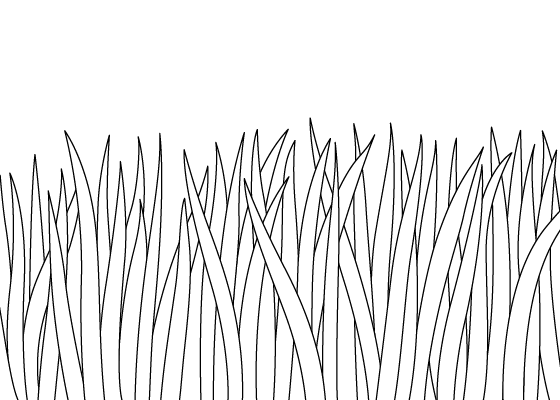 Grass Drawing Detailed Sketch