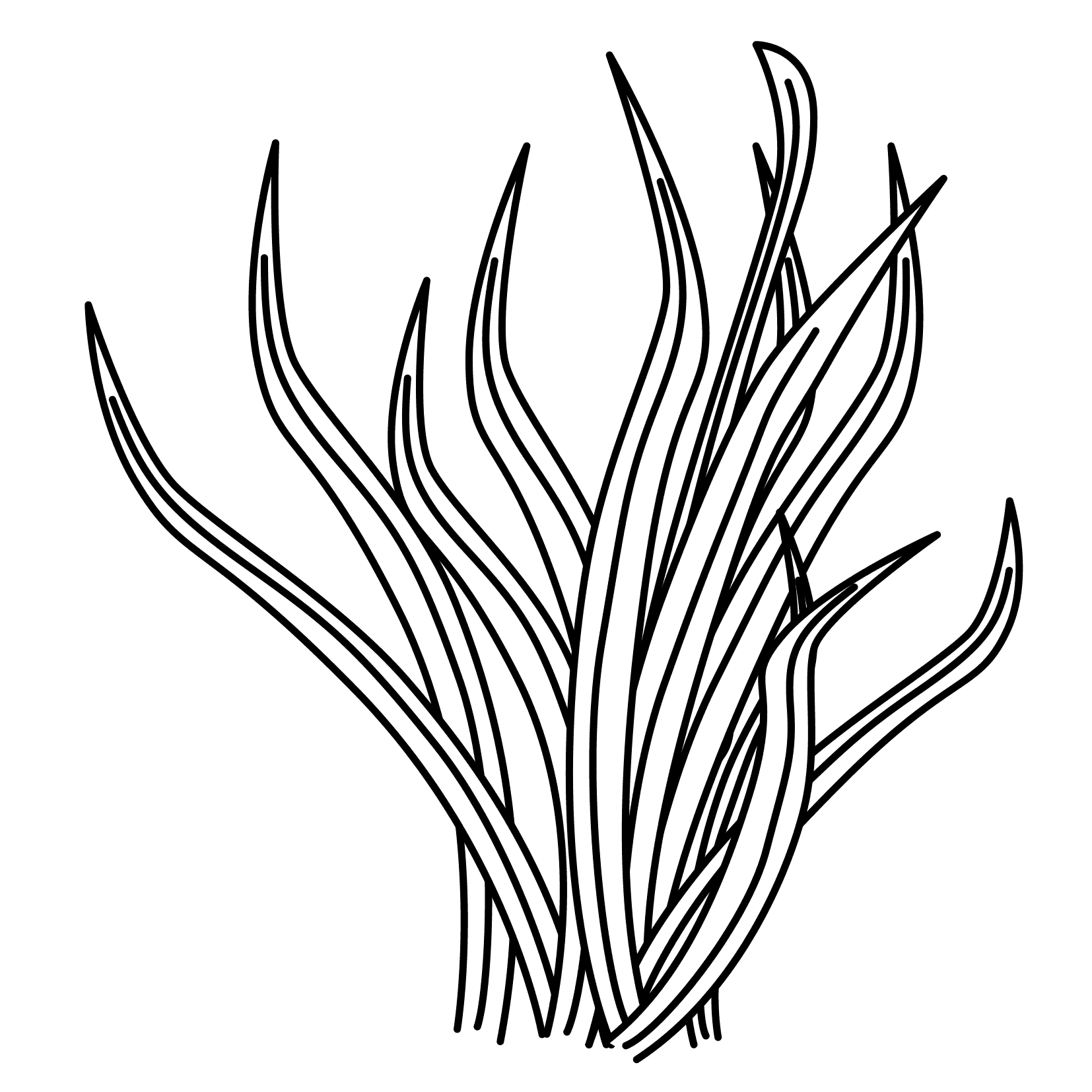 Grass Drawing