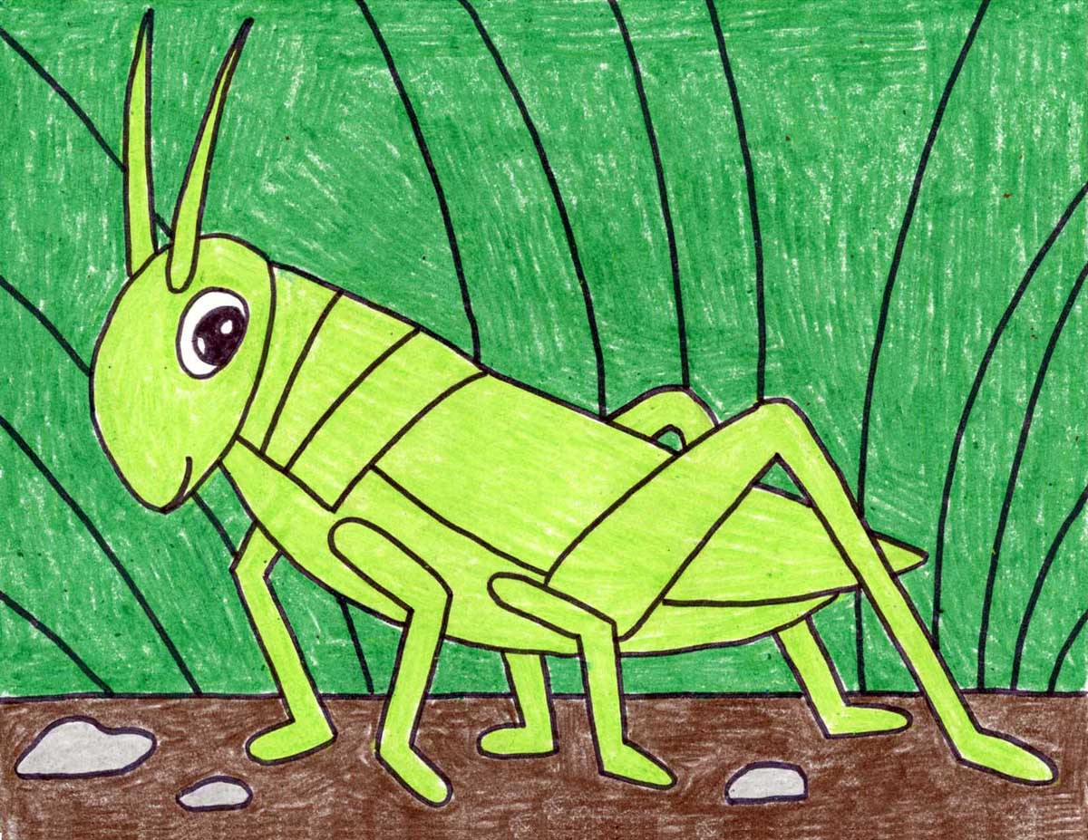 Grasshopper Drawing Hand Drawn Sketch