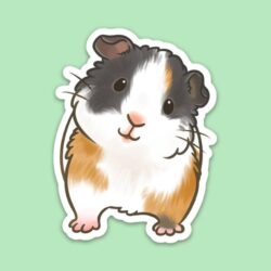 Guinea Pig Drawing Sketch