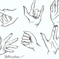 Hand Anatomy Drawing Hand Drawn