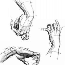 Hand Anatomy Drawing Modern Sketch