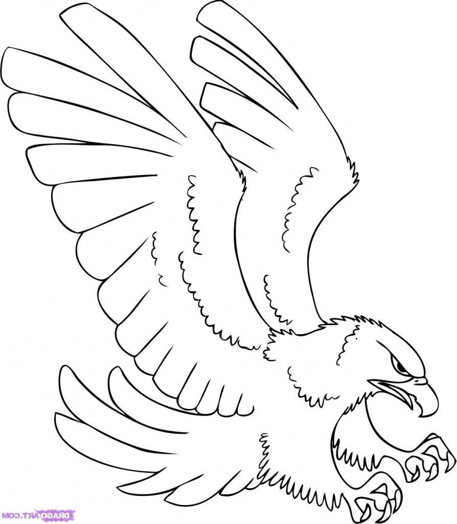 Hawk Drawing Realistic Sketch