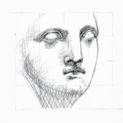 Head Bust Drawing Fine Art