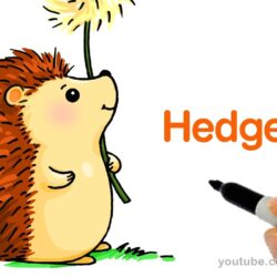 Hedgehog Drawing Modern Sketch