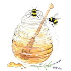 Honey Beehive Drawing