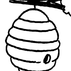 Honey Beehive Drawing Creative Style