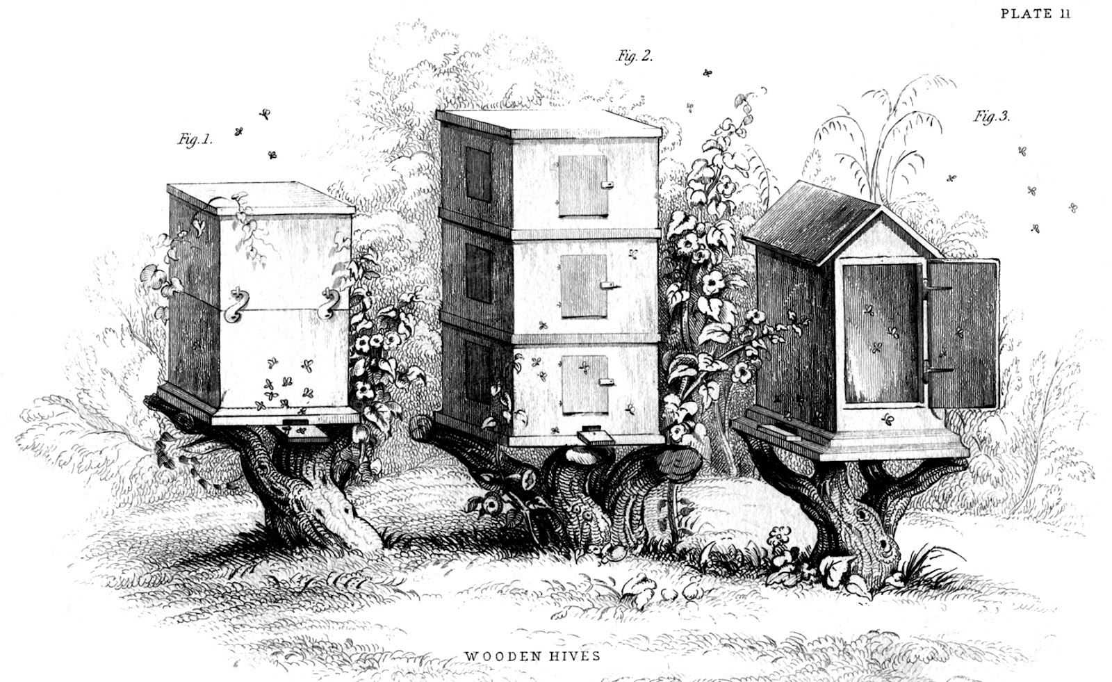 Honey Beehive Drawing Detailed Sketch
